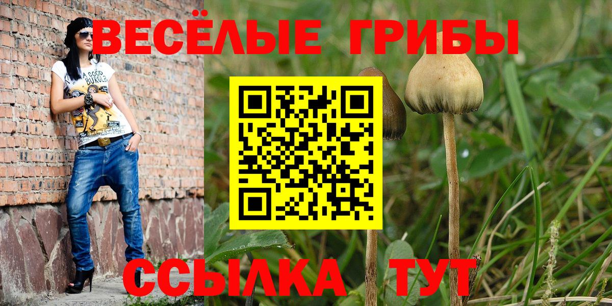 Псилоцибиновые грибы Magic Shrooms  Галлюциногенные грибы GOLDEN TEACHER  магазин  наркотиков  Вход с VPN  Комсомольск-на-Амуре 