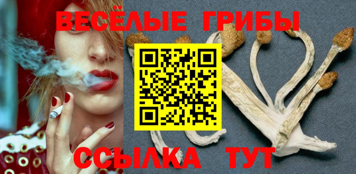 Галлюциногенные грибы прущие грибы Комсомольск-на-Амуре